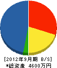 古川電工 貸借対照表 2012年9月期