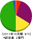 三栄電設工業社 貸借対照表 2011年10月期