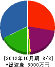 田中設備 貸借対照表 2012年10月期