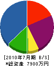 藤井建設 貸借対照表 2010年7月期