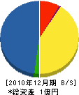高橋敷物店 貸借対照表 2010年12月期