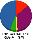 三澤工業 貸借対照表 2012年6月期