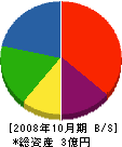 日本交通産業 貸借対照表 2008年10月期