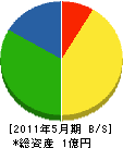 藤井電気 貸借対照表 2011年5月期