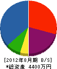 大江工務店 貸借対照表 2012年8月期