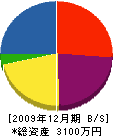 丸栄電気 貸借対照表 2009年12月期