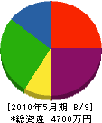 東田建設 貸借対照表 2010年5月期