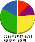 丹澤建設 貸借対照表 2011年6月期