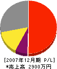 榊原塗装店 損益計算書 2007年12月期