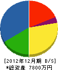 川村組 貸借対照表 2012年12月期