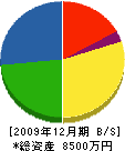 藤田組 貸借対照表 2009年12月期