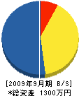 Ｓ・Ｔ開発 貸借対照表 2009年9月期