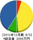 栄樹園 貸借対照表 2012年12月期