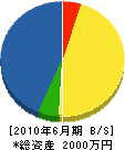 笹川畳店 貸借対照表 2010年6月期
