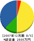 藤川組 貸借対照表 2007年12月期