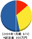 柳澤商事 貸借対照表 2009年1月期
