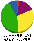 長尾清掃社 貸借対照表 2010年3月期
