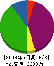 中島建設 貸借対照表 2009年5月期