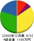 水田設備 貸借対照表 2009年12月期