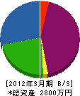 齋藤電気 貸借対照表 2012年3月期