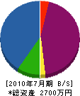 湘南管理事業 貸借対照表 2010年7月期