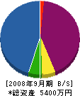 日本建設工業 貸借対照表 2008年9月期