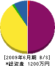 新日本建設 貸借対照表 2009年6月期