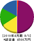三愛コーポレーション 貸借対照表 2010年4月期