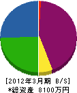 ヨコヤマコーポレーション 貸借対照表 2012年3月期