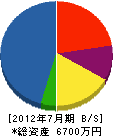 沢土木工業 貸借対照表 2012年7月期