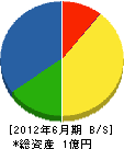 長谷川総建 貸借対照表 2012年6月期