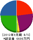 竹田組 貸借対照表 2012年9月期
