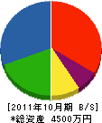 ニッセイ電気工事 貸借対照表 2011年10月期
