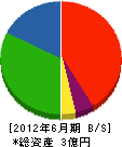 阪神装路 貸借対照表 2012年6月期