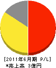 東京冷暖房サービスセンター 損益計算書 2011年6月期