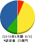 大濱燃料 貸借対照表 2010年6月期