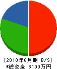 中川水道 貸借対照表 2010年6月期