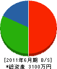 中川水道 貸借対照表 2011年6月期