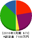 中日本商事 貸借対照表 2010年3月期