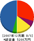 中山建設 貸借対照表 2007年12月期