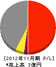 斉藤工業 損益計算書 2012年11月期