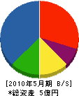 山田組 貸借対照表 2010年5月期