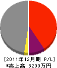 辻村土建 損益計算書 2011年12月期