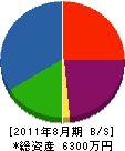大塚建設 貸借対照表 2011年8月期