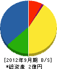 小川電気商会 貸借対照表 2012年9月期