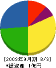 小畠商店 貸借対照表 2009年9月期