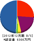 中田工務店 貸借対照表 2012年12月期