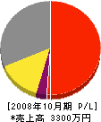 早川建設 損益計算書 2008年10月期