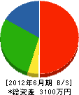 中川水道 貸借対照表 2012年6月期