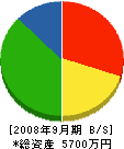 中澤工務店 貸借対照表 2008年9月期